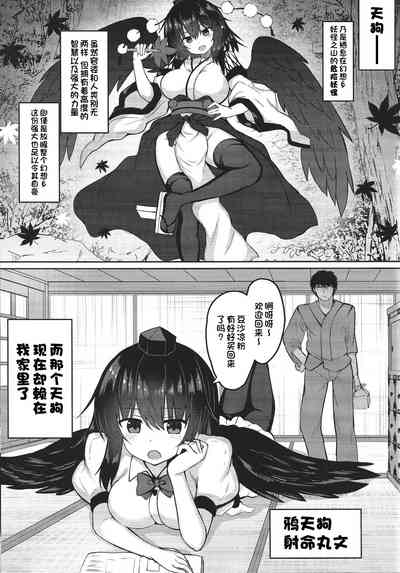 第2页图