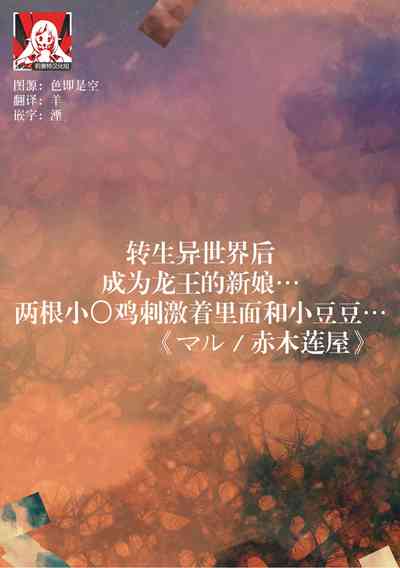 第2页图