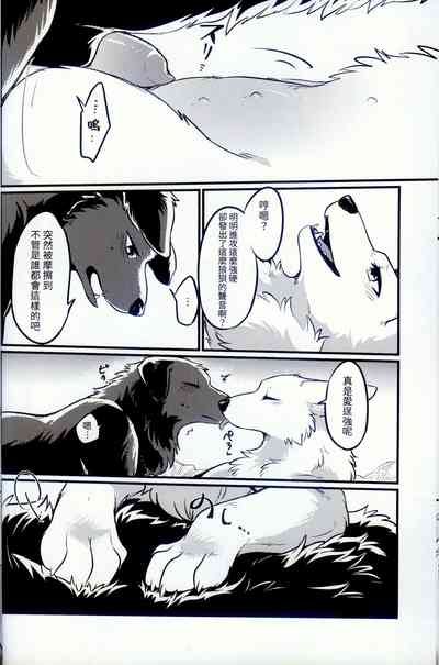 第10頁圖