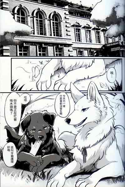 第2頁圖