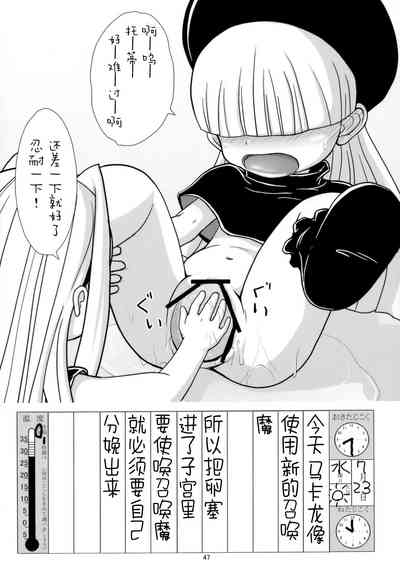 第46頁圖
