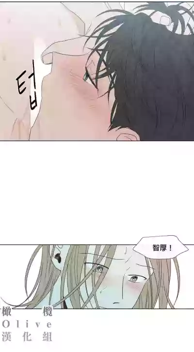 第290頁圖