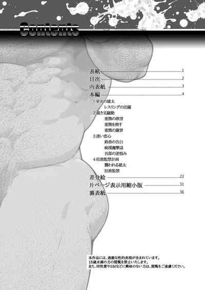 第2页图