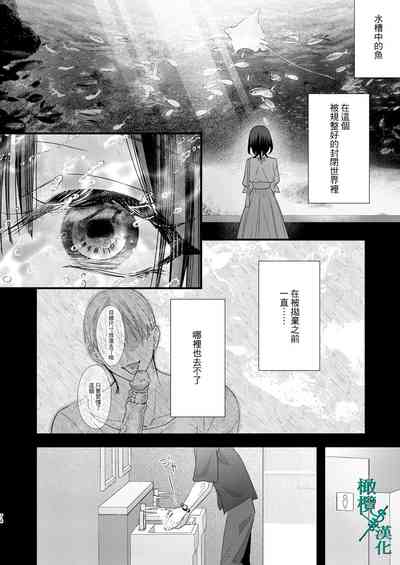 第74頁圖