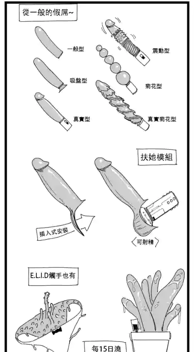 第2页图