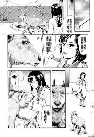 第6頁圖