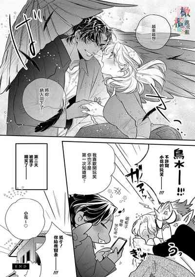 第214頁圖