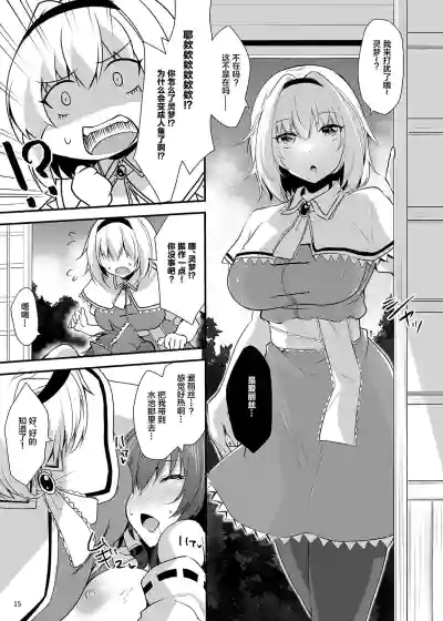 第14页图