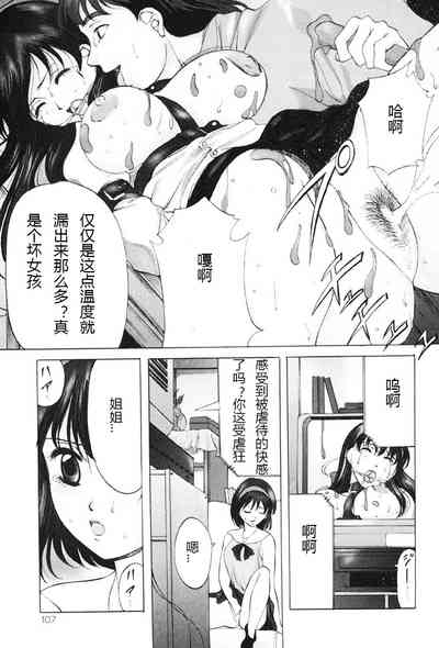 第106页图