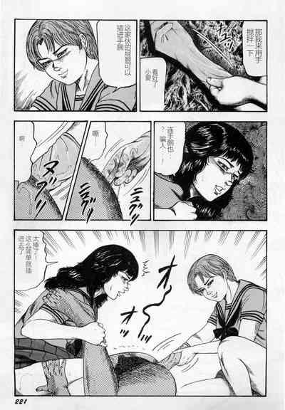 第222頁圖