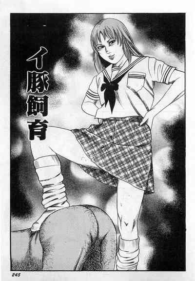 第246頁圖