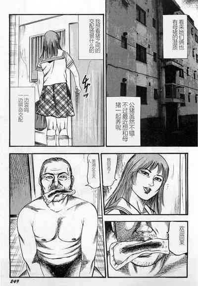 第250頁圖