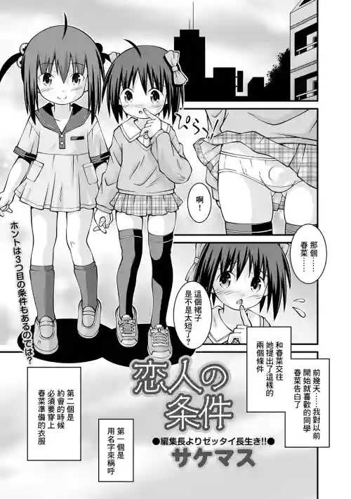 戀人の條件圖