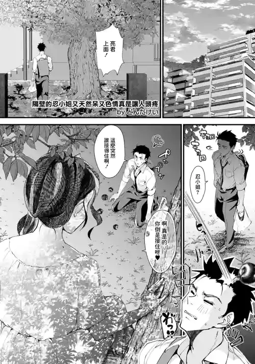 Tonari no Shinobu-san ga Tennen de Erokute Komaru | 隔壁的忍小姐又天然呆又色情真是讓人頭疼圖