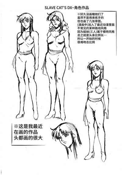 第78頁圖