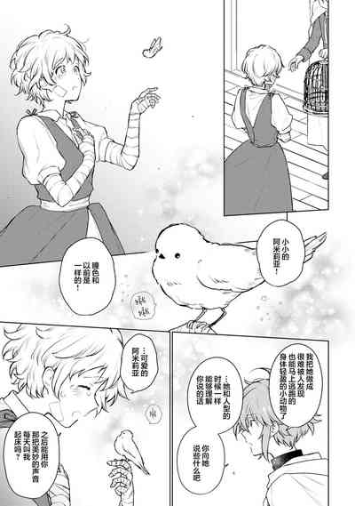第54頁圖