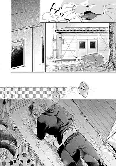 第146頁圖
