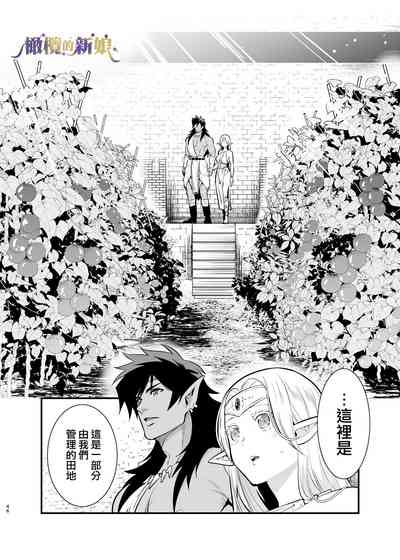 第46頁圖