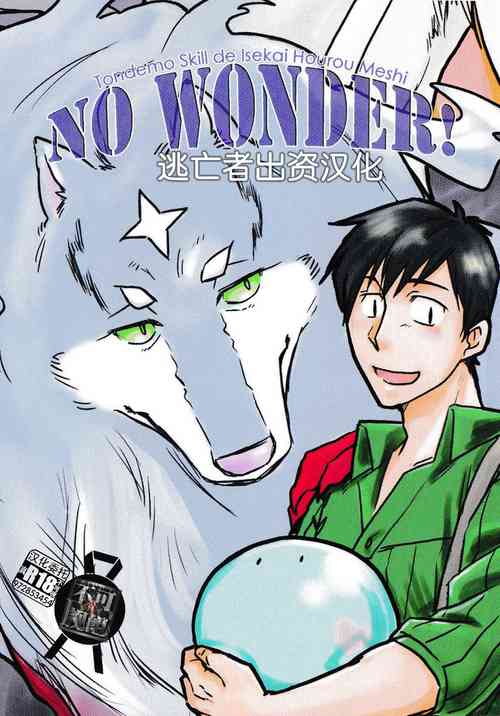 NO WONDER!圖