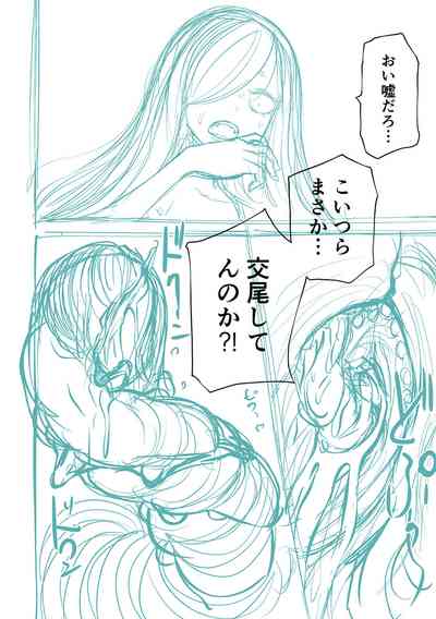 第294頁圖
