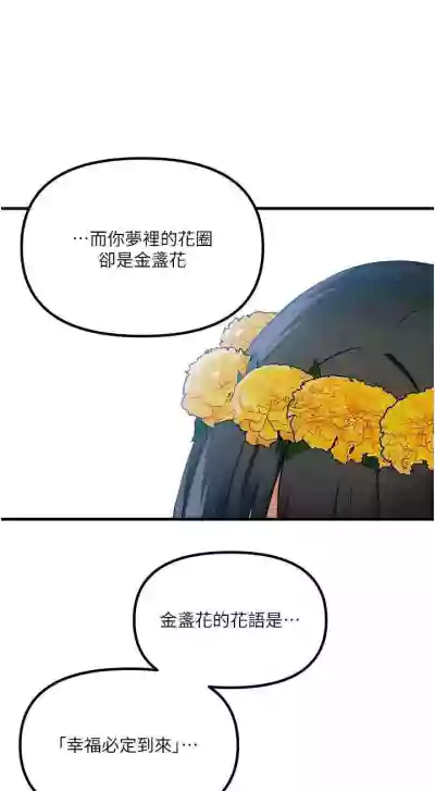 第98頁圖