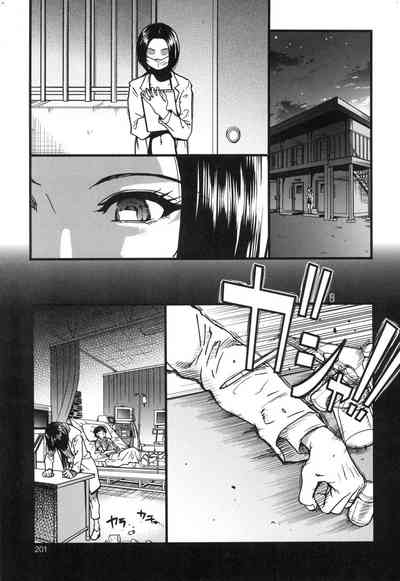第202頁圖
