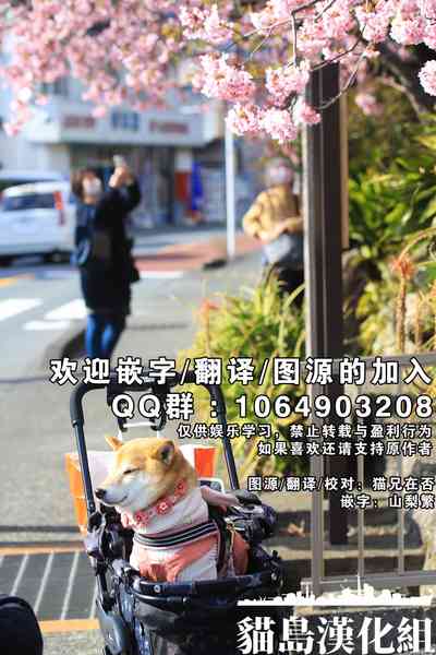 第34頁圖