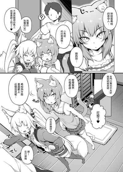 第10页图