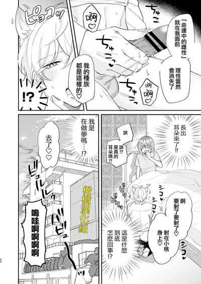第30頁圖