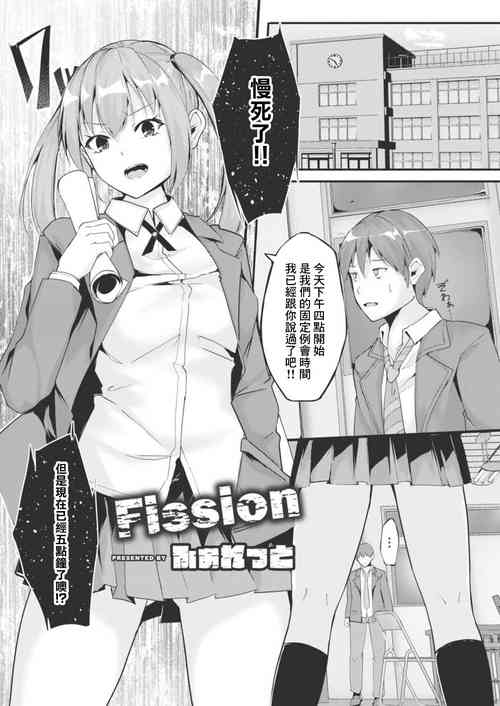 Fission图
