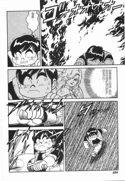 第230頁圖