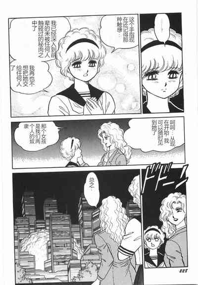 第234頁圖
