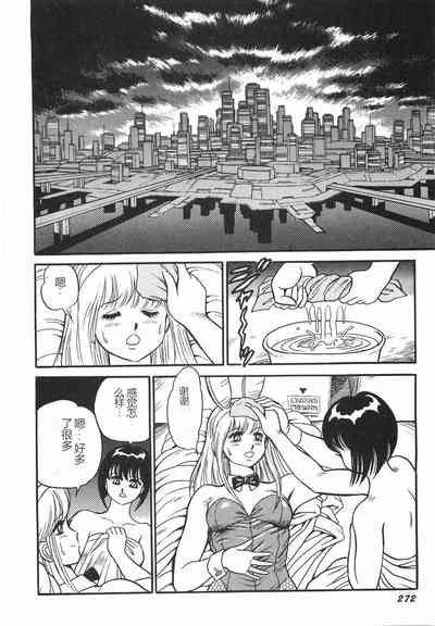 第278頁圖