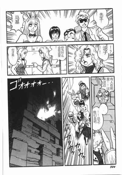 第330頁圖