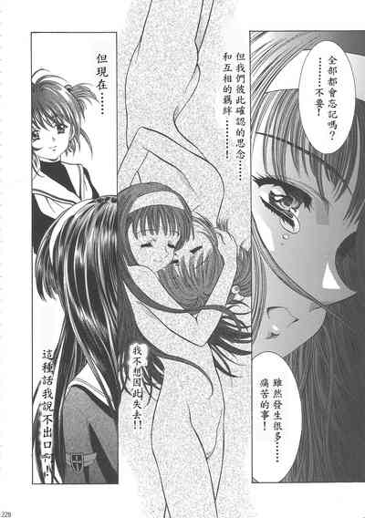 第234页图
