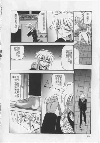 第102頁圖