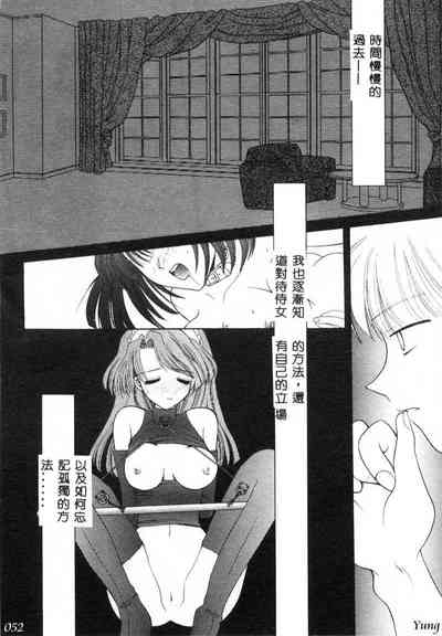 第54頁圖