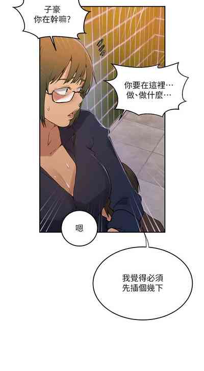 第242頁圖
