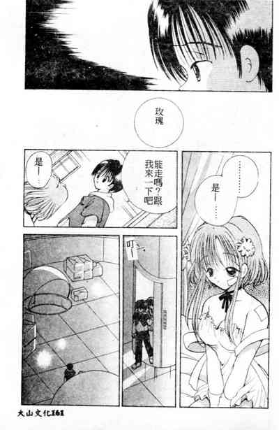 第162頁圖