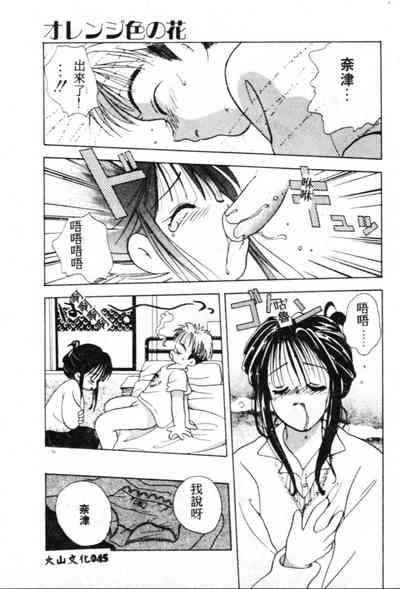 第46頁圖