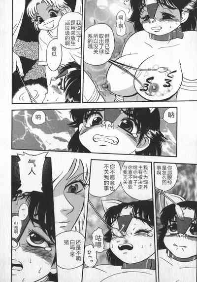 第154頁圖