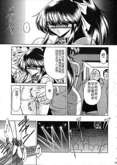 第42页图