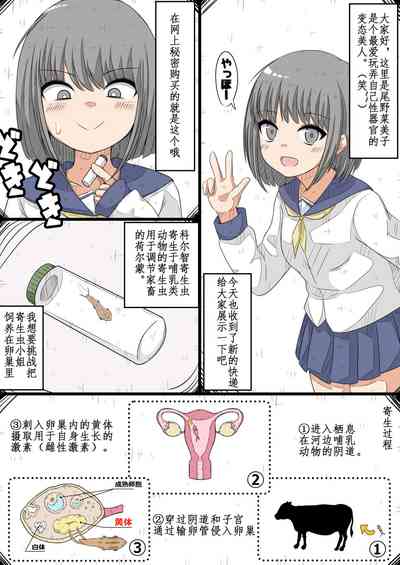 第2页图