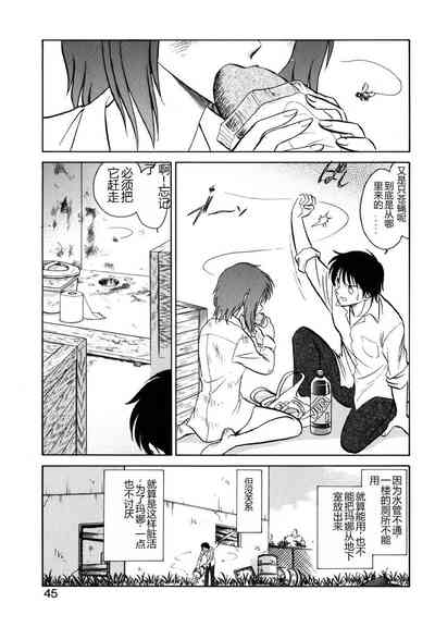第42頁圖