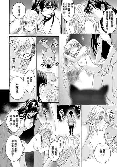 第262頁圖
