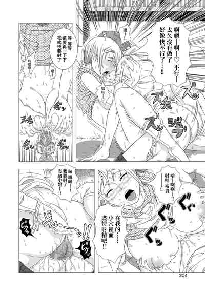 第206頁圖