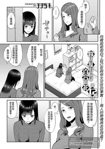 第234頁圖