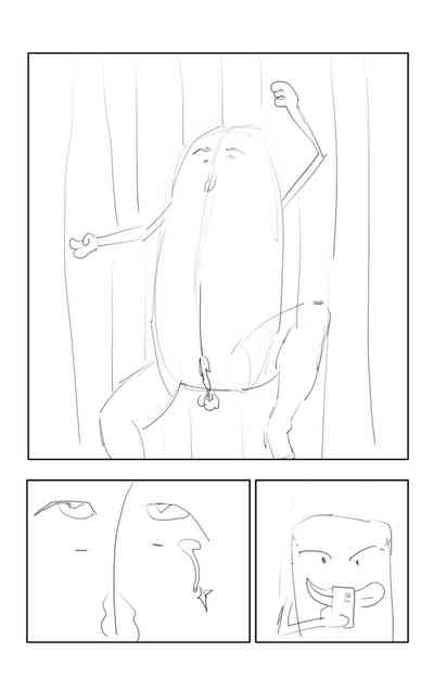 第14页图