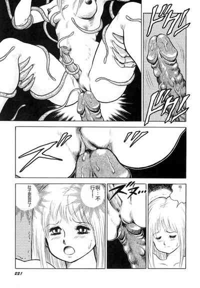 第222頁圖