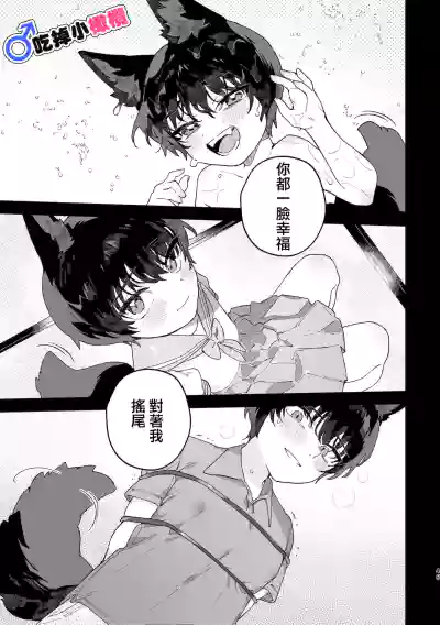 第46页图